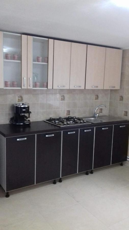 Casa Radu Daire Novaci-Străini Dış mekan fotoğraf