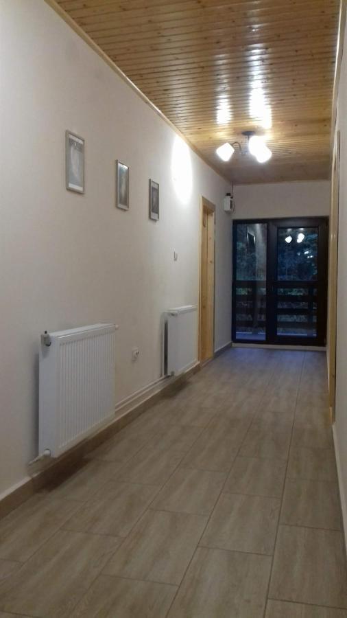 Casa Radu Daire Novaci-Străini Dış mekan fotoğraf