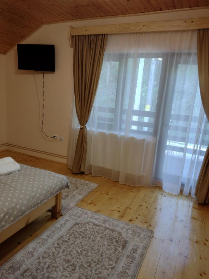 Casa Radu Daire Novaci-Străini Dış mekan fotoğraf