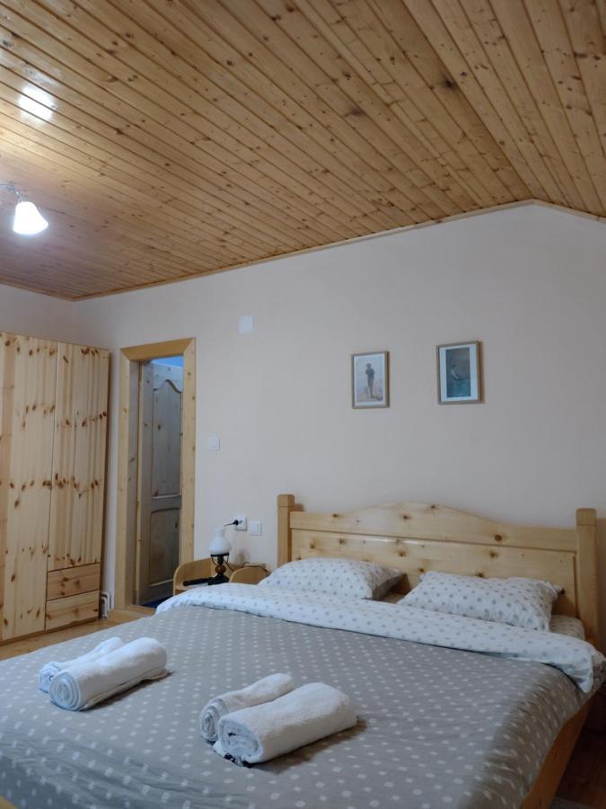 Casa Radu Daire Novaci-Străini Dış mekan fotoğraf