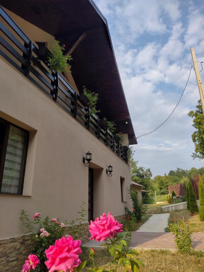 Casa Radu Daire Novaci-Străini Dış mekan fotoğraf