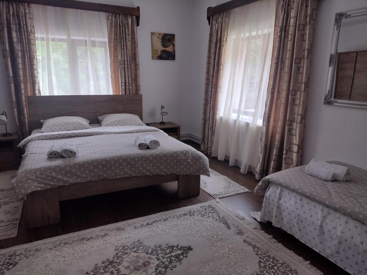 Casa Radu Daire Novaci-Străini Dış mekan fotoğraf
