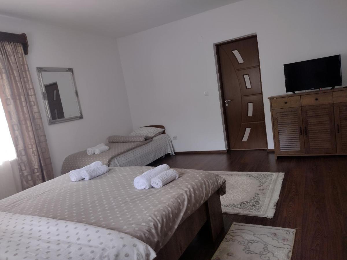 Casa Radu Daire Novaci-Străini Dış mekan fotoğraf