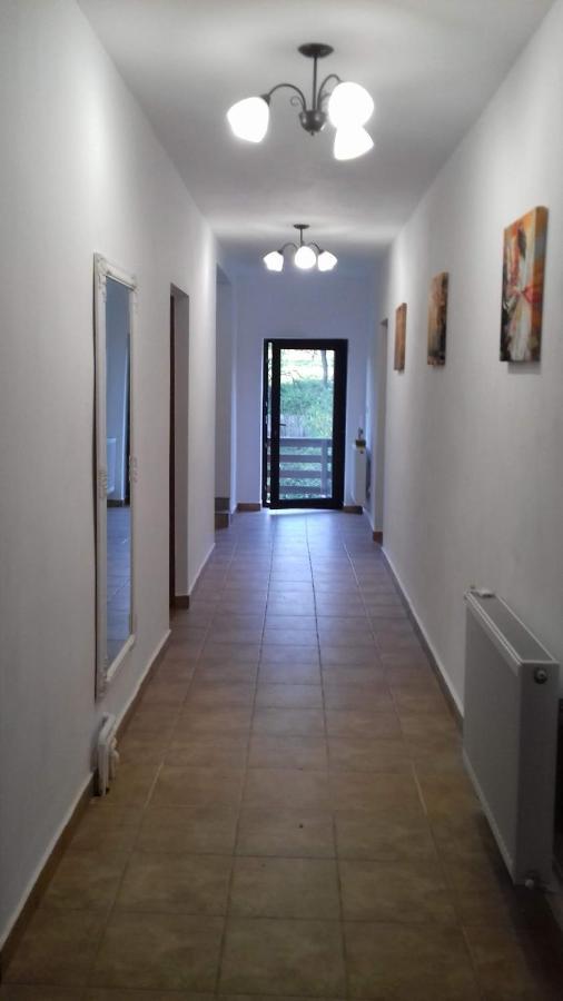 Casa Radu Daire Novaci-Străini Dış mekan fotoğraf