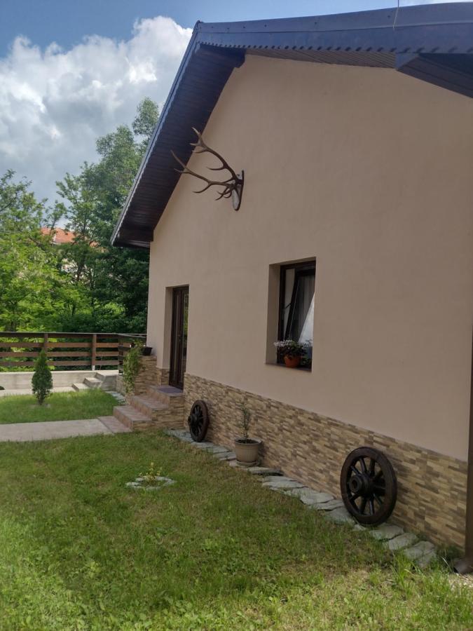 Casa Radu Daire Novaci-Străini Dış mekan fotoğraf
