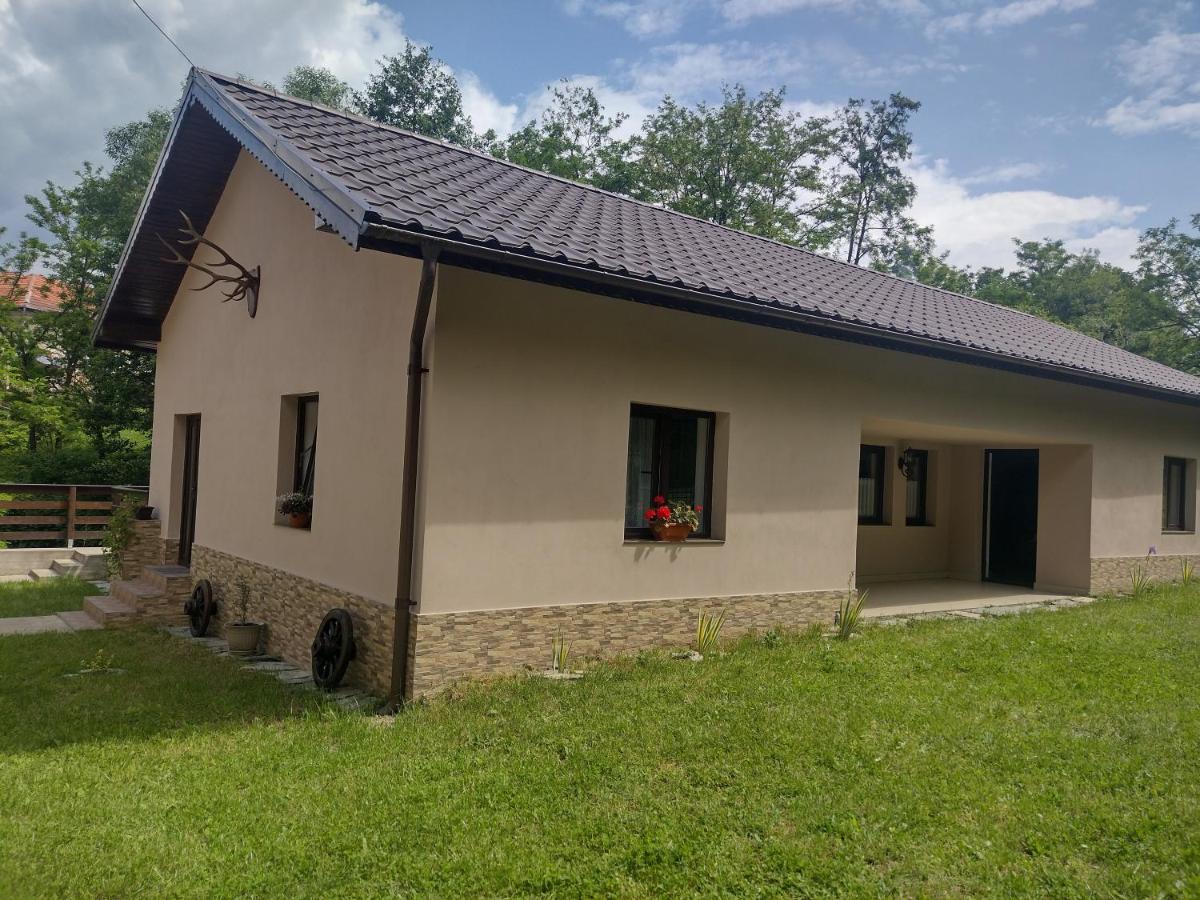 Casa Radu Daire Novaci-Străini Dış mekan fotoğraf