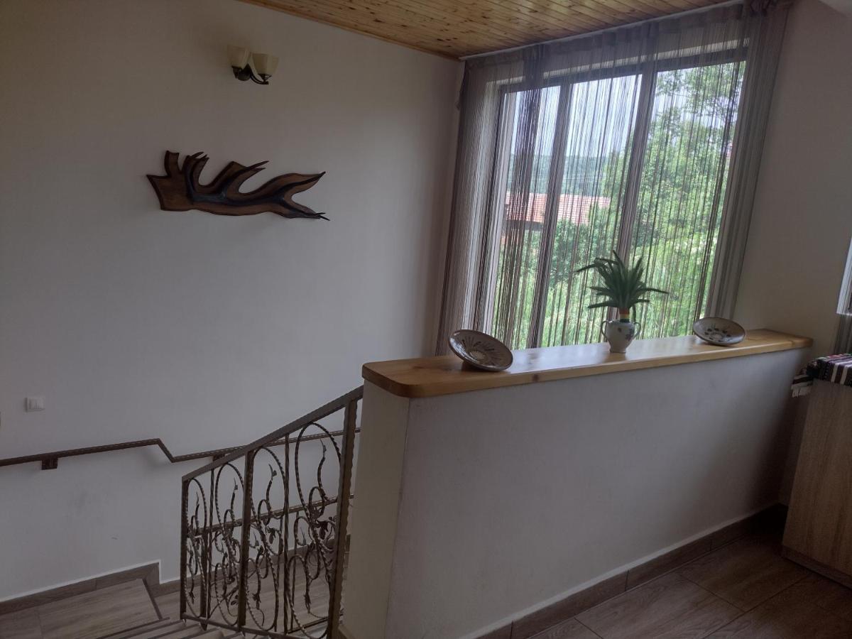 Casa Radu Daire Novaci-Străini Dış mekan fotoğraf