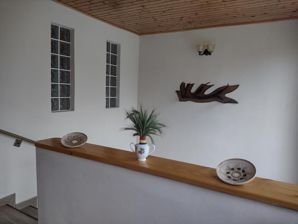 Casa Radu Daire Novaci-Străini Dış mekan fotoğraf