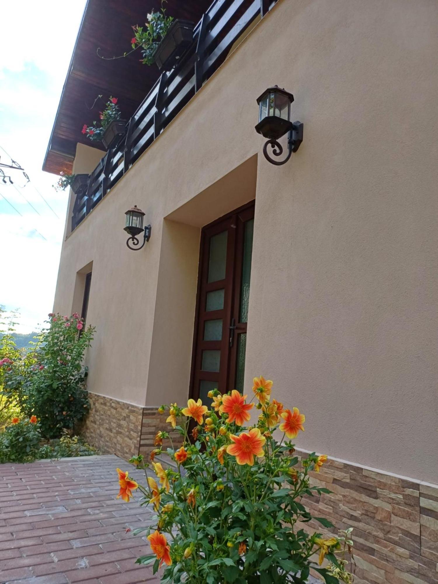 Casa Radu Daire Novaci-Străini Dış mekan fotoğraf