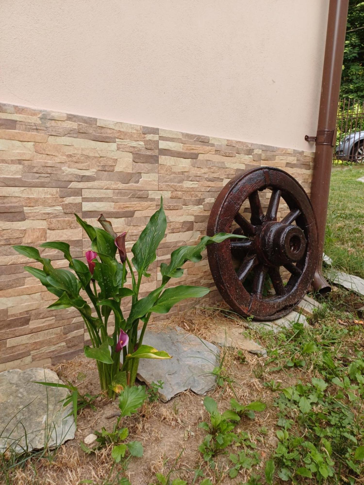 Casa Radu Daire Novaci-Străini Dış mekan fotoğraf