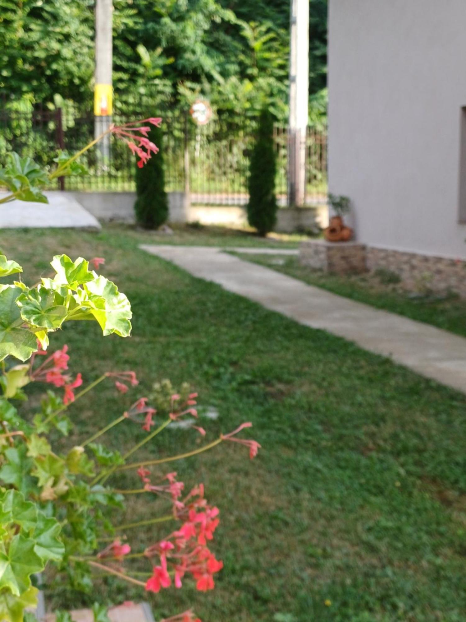 Casa Radu Daire Novaci-Străini Dış mekan fotoğraf