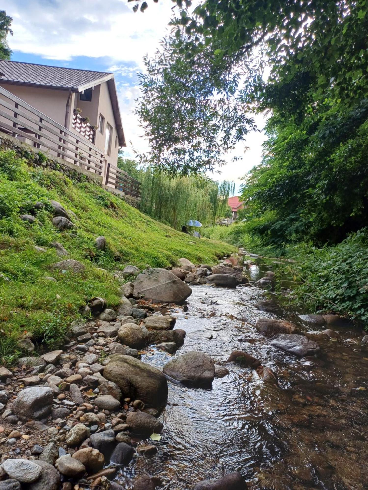 Casa Radu Daire Novaci-Străini Dış mekan fotoğraf