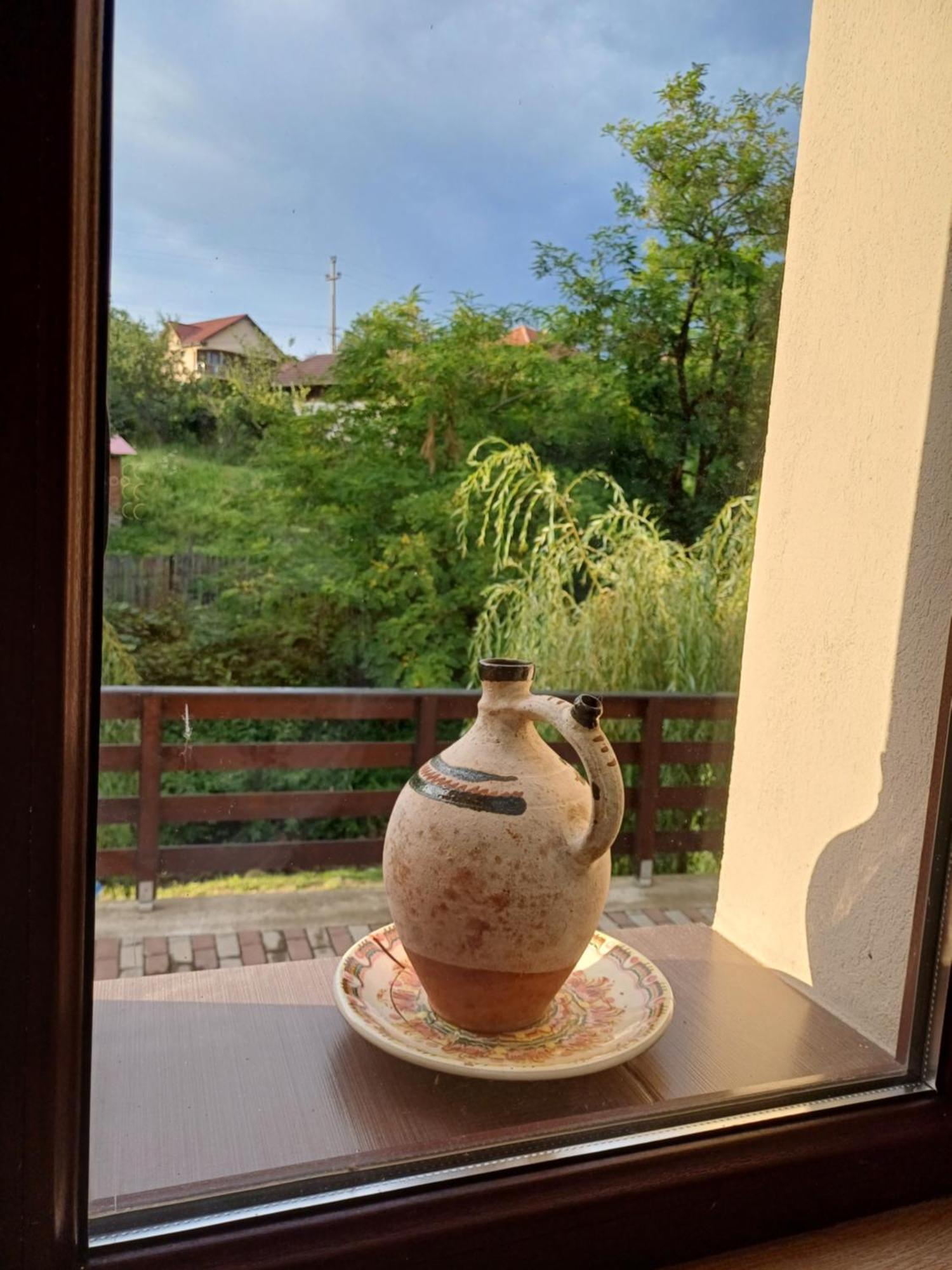 Casa Radu Daire Novaci-Străini Dış mekan fotoğraf