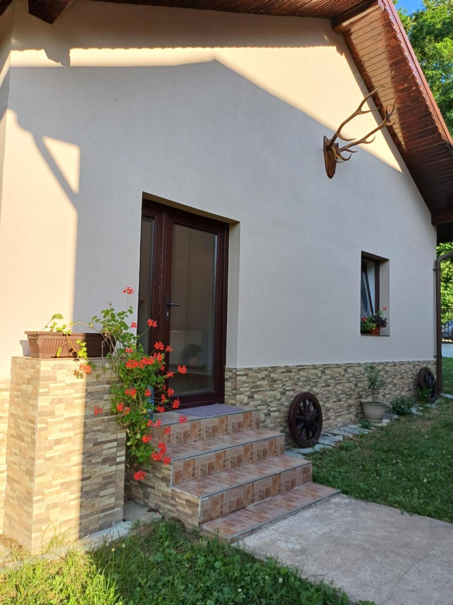 Casa Radu Daire Novaci-Străini Dış mekan fotoğraf