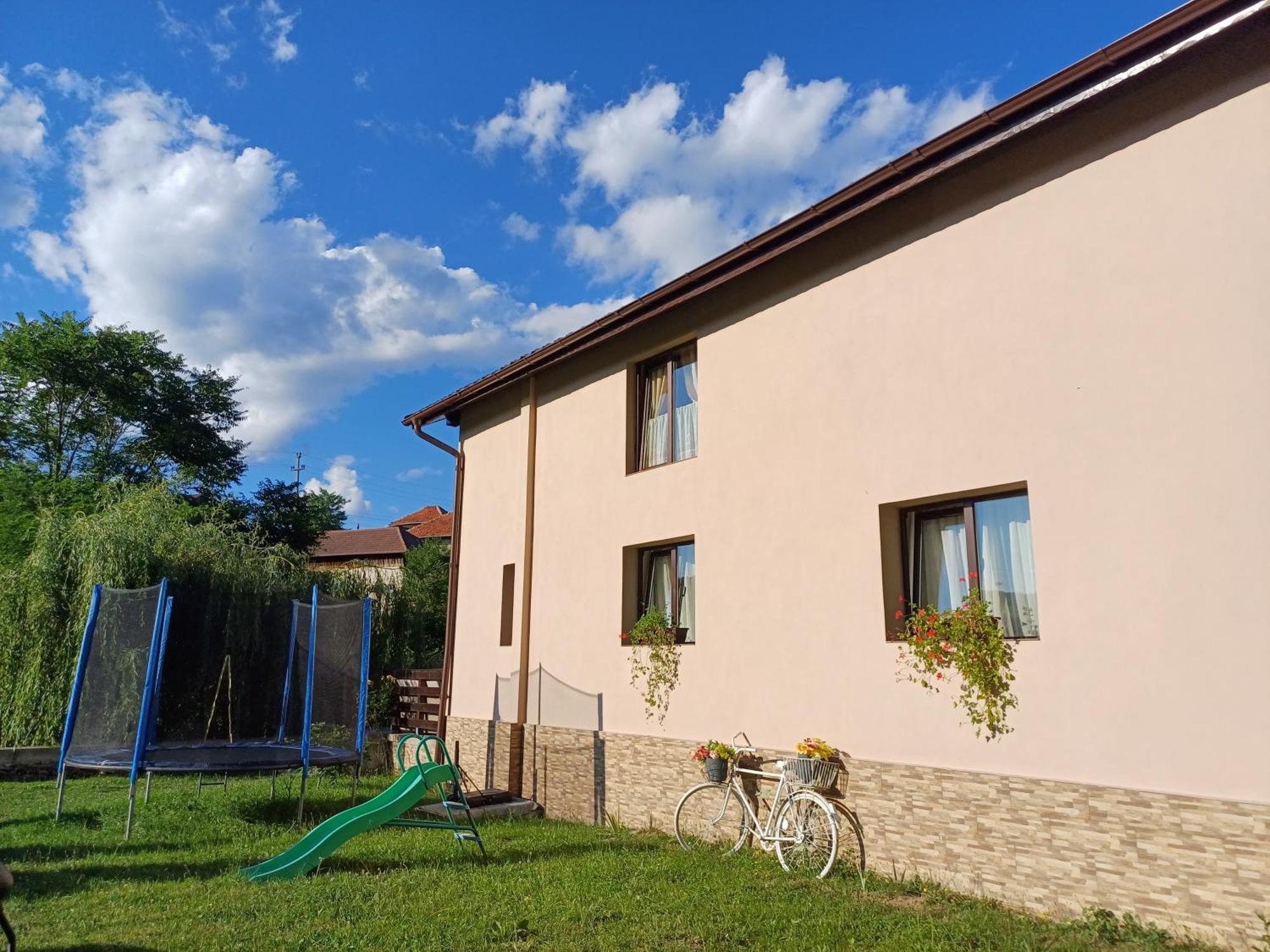 Casa Radu Daire Novaci-Străini Dış mekan fotoğraf